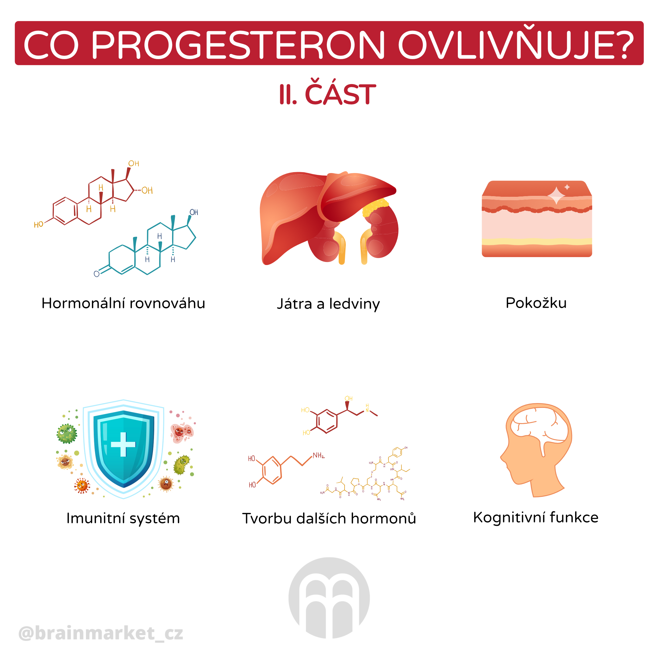 co progesteron ovlinnuje 2 _infografika_cz